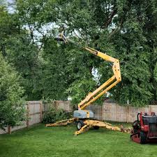 Best Tree and Shrub Care  in Millvale, PA