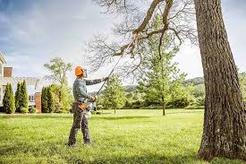 Best Storm Damage Tree Cleanup  in Millvale, PA