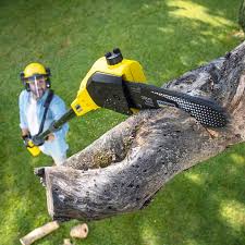 Best Lawn Mowing  in Millvale, PA